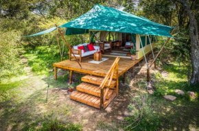 Losokwan Luxury Tented Camp - Maasai Mara